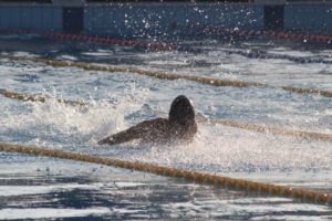 Pročitajte više o članku Sprint – Rovinj – 8-2016