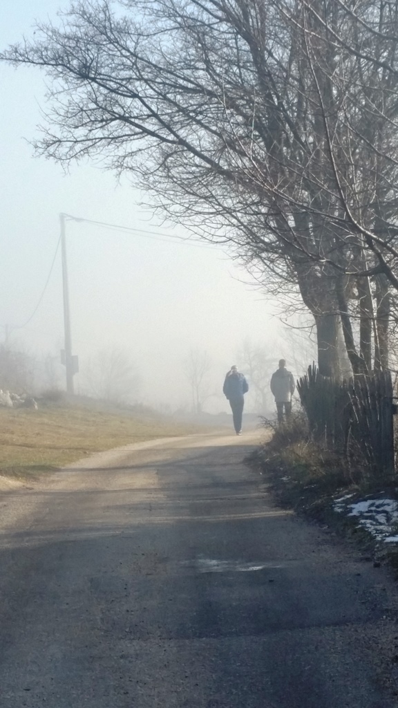 Trenutno pregledavate Bilići 12-2017