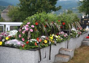 Pročitajte više o članku Strina – 13-7-2019