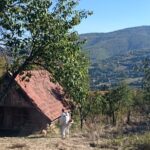 www.tusun.net-3-10-2026-4