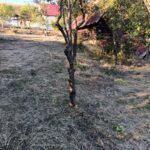www.tusun.net-3-10-2026-6