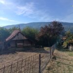 www.tusun.net-5-10-2026-1