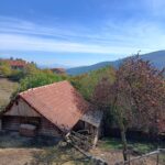 www.tusun.net-5-10-2026-7
