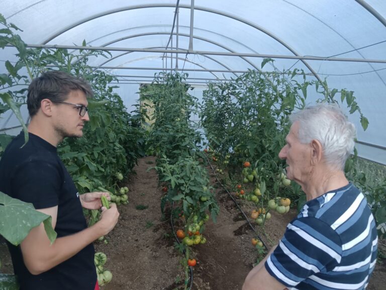 Pročitajte više o članku Gojevići – 5.8.2026.
