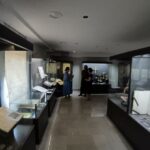 www.tusun.net-6-8-2026-17