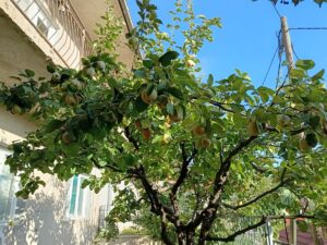 Pročitajte više o članku Stolac – 7.10.2026.