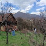 www.tusun.net-7-3-2026-4