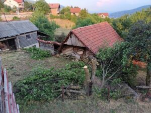 Pročitajte više o članku Bilići – 7.8.2026.