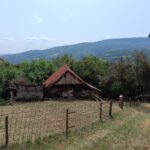 www.tusun.net-8-8-2026-Bilici-1