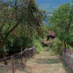 www.tusun.net-8-8-2026-Bilici-2