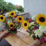 www.tusun.net-8-8-2026-Bilici-4