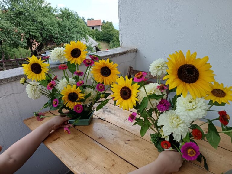 Pročitajte više o članku Bilići – 8.8.2026.